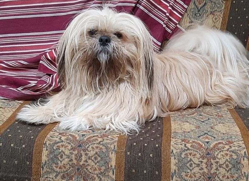 Agustín